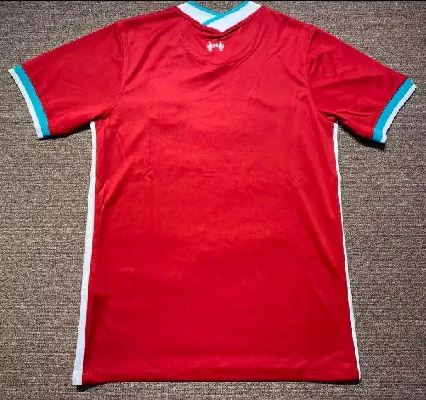 Liverpool 2020/2021 Home