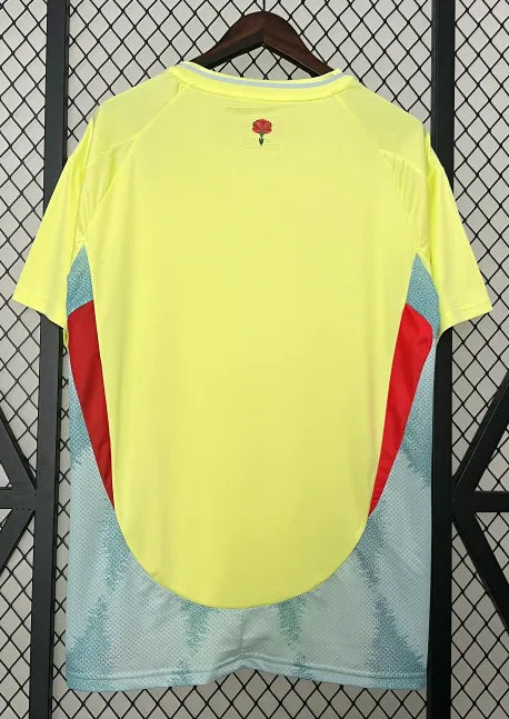 Spain 2024 Away